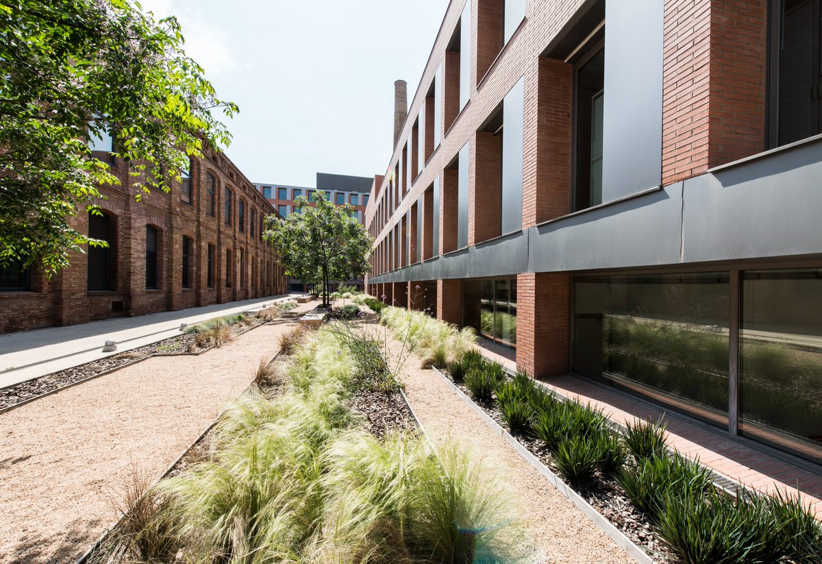 ‼️ La UOC ha aprobado la convocatoria de becas posdoctorales y en <a href="/CareNet_IN3/">CareNet</a> recibimos candidaturas 🗒️

🎓¿Tienes título de doctor/a/e y quieres seguir investigando sobre cuidados? Tienes hasta el 11 de febrero para enviarnos tu candidatura. 

🔎carenet.in3.uoc.edu/es/postdoc-uoc…