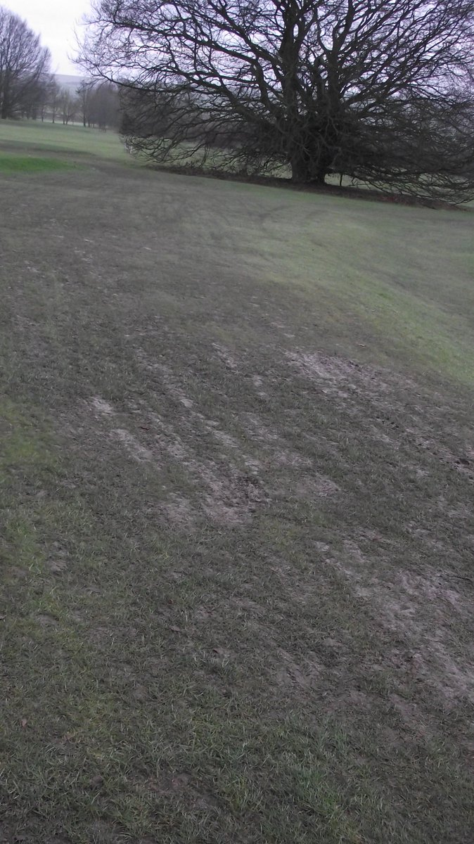 NorthWiltsGC's tweet photo. Just a few pics of the wear from Thursday when the thaw began. Closing the course makes me feel sick inside so a big thank you👏 to the members in the clubhouse who supported my decision. I really appreciate it. https://t.co/uyXmyZUm8J