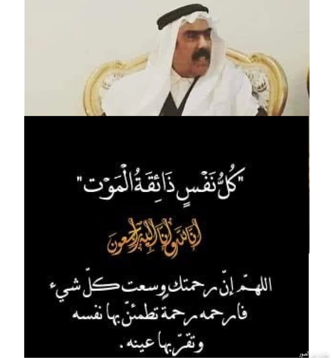 الشيخ جمال البطيخ tweet media