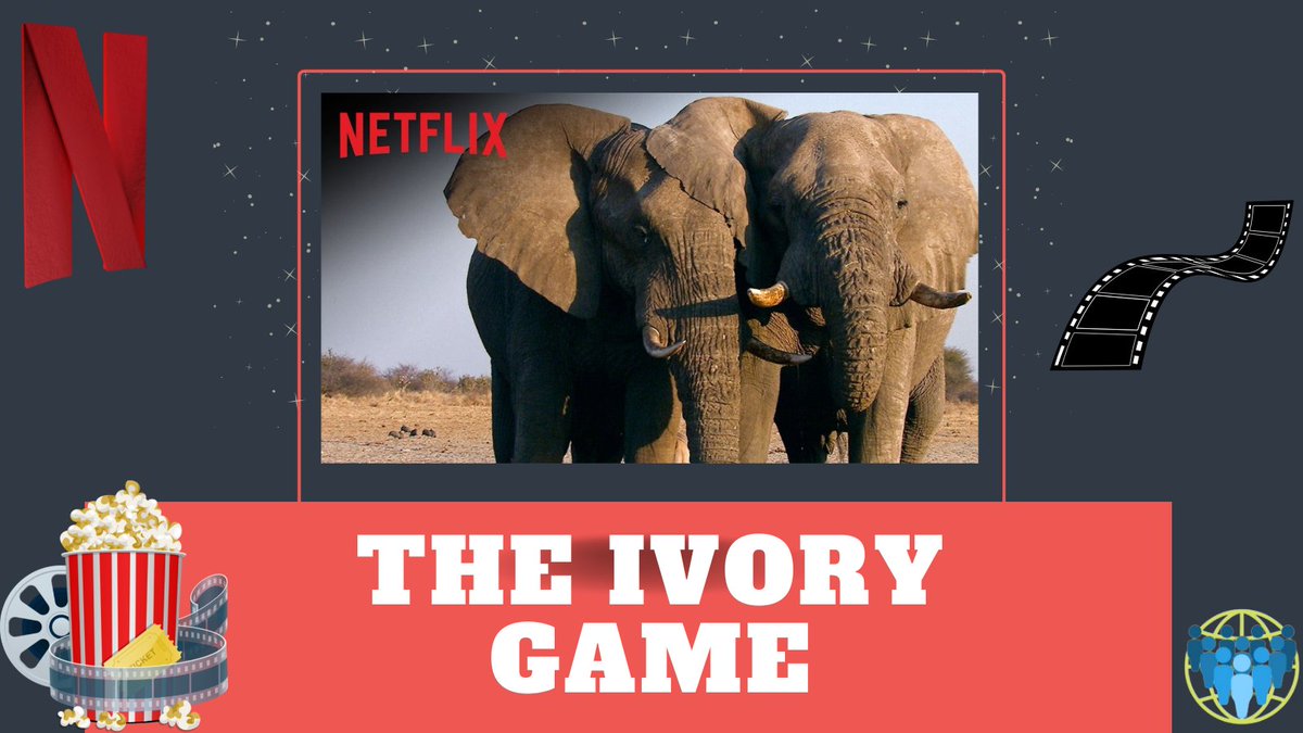 GACCProject's tweet photo. The Ivory Game (2016) our documentary for this week 🎥

It examines the ivory trade in #China and Hong Kong, representing a prized status symbol.
The slaughtering of African elephants has become a global concern, as it’s happening in recording numbers. 🐘 
#StandAgainstCorruption https://t.co/4i3H4UkCzj