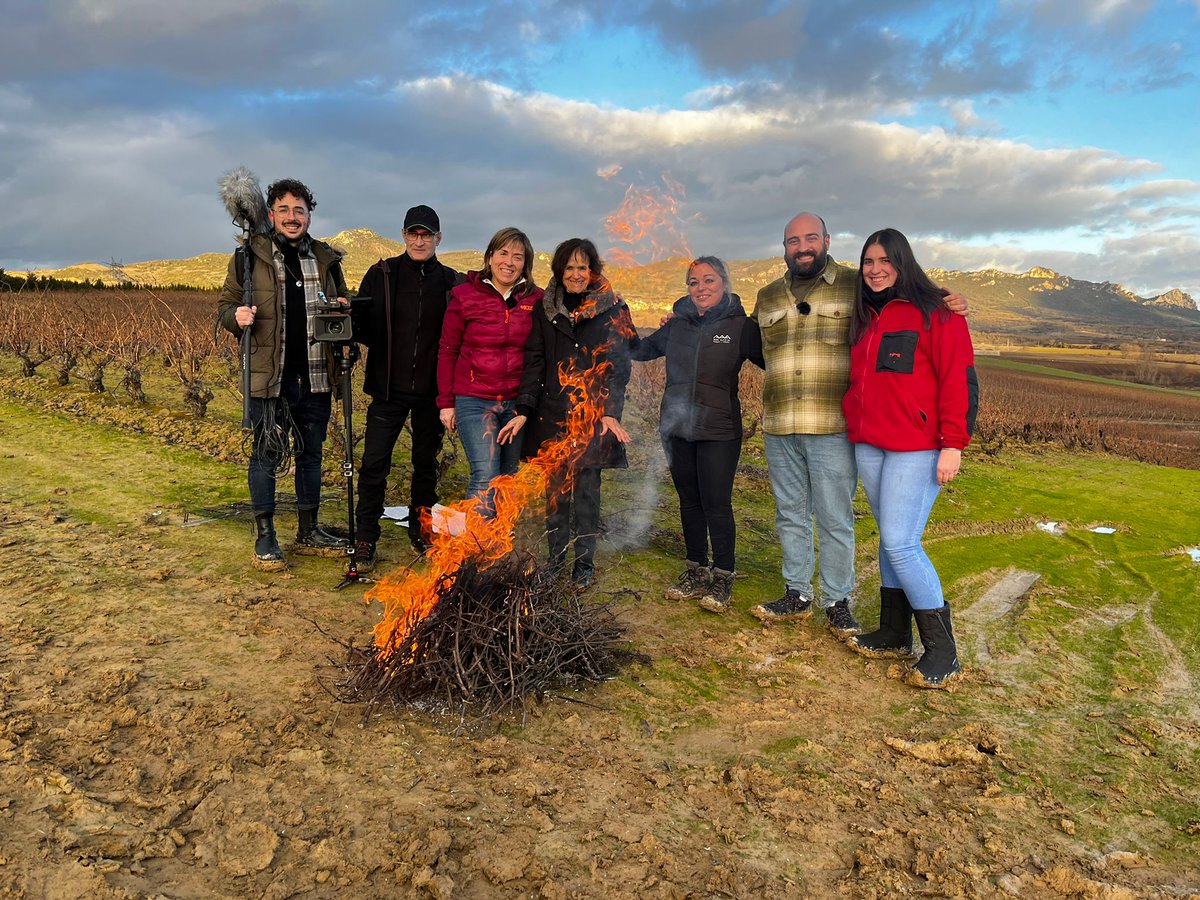 La1_tve's tweet image. ¡Hoy nos vamos de poda con unas viticultoras en #AhoraONunca! 🍇 Su destreza, su pasión y sus ganas son emocionantes, igual que el paisaje en el que trabajan 🤩

¡Vente a descubrirlo con @mardones_pedro a partir de las 14:10!