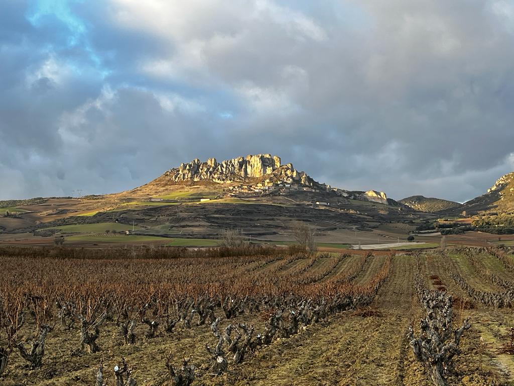 La1_tve's tweet image. ¡Hoy nos vamos de poda con unas viticultoras en #AhoraONunca! 🍇 Su destreza, su pasión y sus ganas son emocionantes, igual que el paisaje en el que trabajan 🤩

¡Vente a descubrirlo con @mardones_pedro a partir de las 14:10!