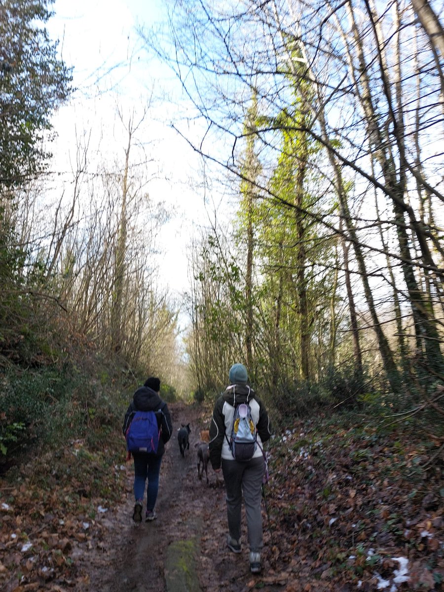 Kanito_pet's tweet photo. Il 22 gennaio la nostra guida Alessandra ci ha portati a fare #dogtrekking al Lago di Nemi (Roma) 😎🐶

Scopri i prossimi #dogtrekking nel Lazio 👉🏼 https://t.co/FJKs3IlDFb

#dogtrekkingitalia #weekend #outdoors #roma #Lazio #petslife #dogfriendly #esperienza #kanito https://t.co/v8OiWQ78cg