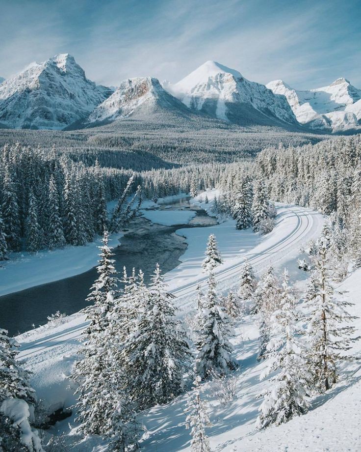 Aleksan52094351's tweet photo. Good afternoon ❄️💙❄️ https://t.co/fSAVqkw9cZ
