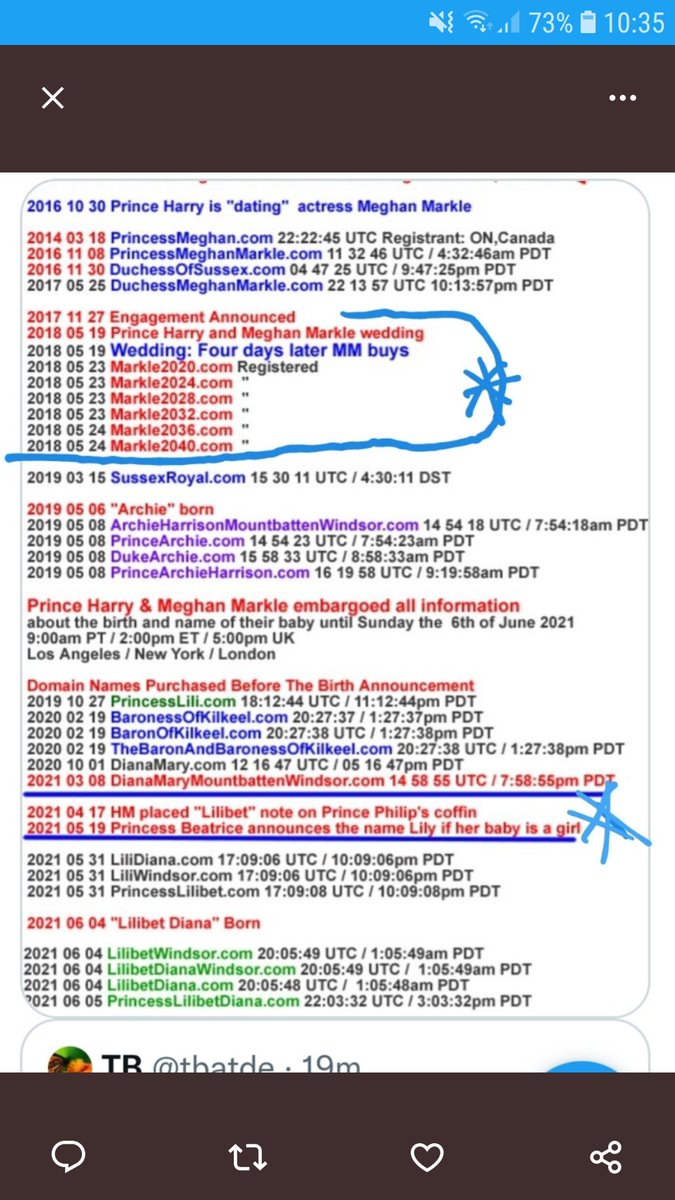 tbatde_tb's tweet photo. @badmom46773791 you are paid by Meg. She never intended to stay Harry was the meal ticket to fame and $$$$She intends to get into US politics. Look at the domains she bought! https://t.co/UEAPdcenFF