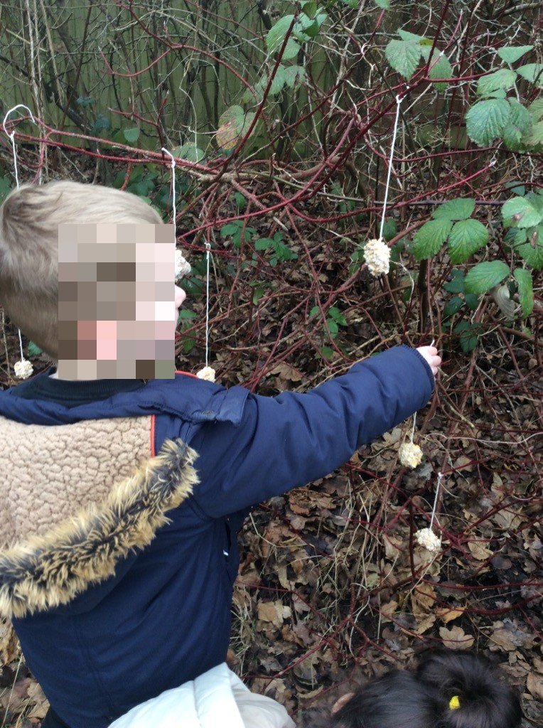 WestdenePS's tweet photo. Reception are very excited to be taking part in the 'RSPB Big Garden Bird Watch 2023'. With so much green space in our reception area we are often visited by different types of birds. This week we have been busy making bird feeders to encourage more visitors for us to record! https://t.co/zoP7RKzDZk