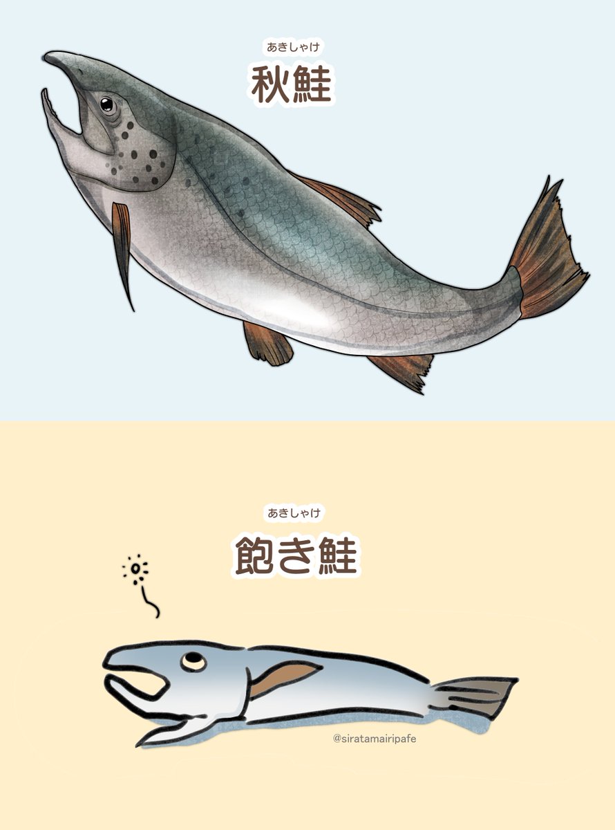 #今月描いた絵を晒そう 
飽きた犬と魚描きました 