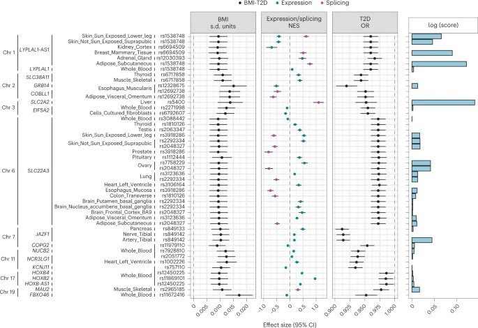 DanielJDrucker's tweet photo. Clinical and molecular phenotyoing reveals 17 genes that convey protection against type 2 #diabetes in PPL #obesity, which may represent logical targets for #precisionmedicine diagnostics or therapeutics @NatMetabolism #genetics #Healthyobesity #T2D https://t.co/btHnbX8SI5 https://t.co/PZ9IsYk6py