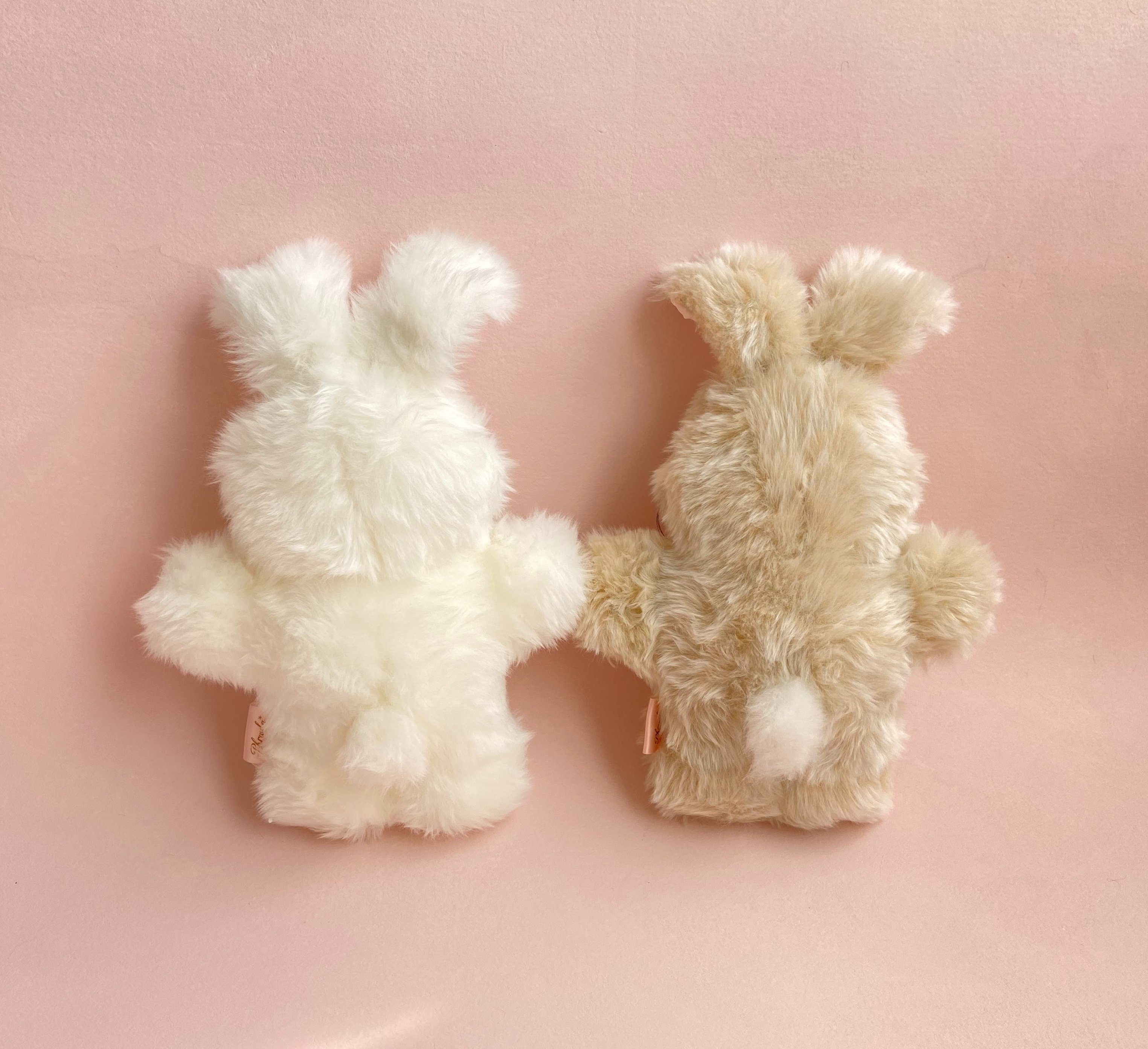 𝘈𝘬𝘪 . 𝘗𝘩𝘳𝘢𝘶𝘭𝘢* (@aki_phraula) / X