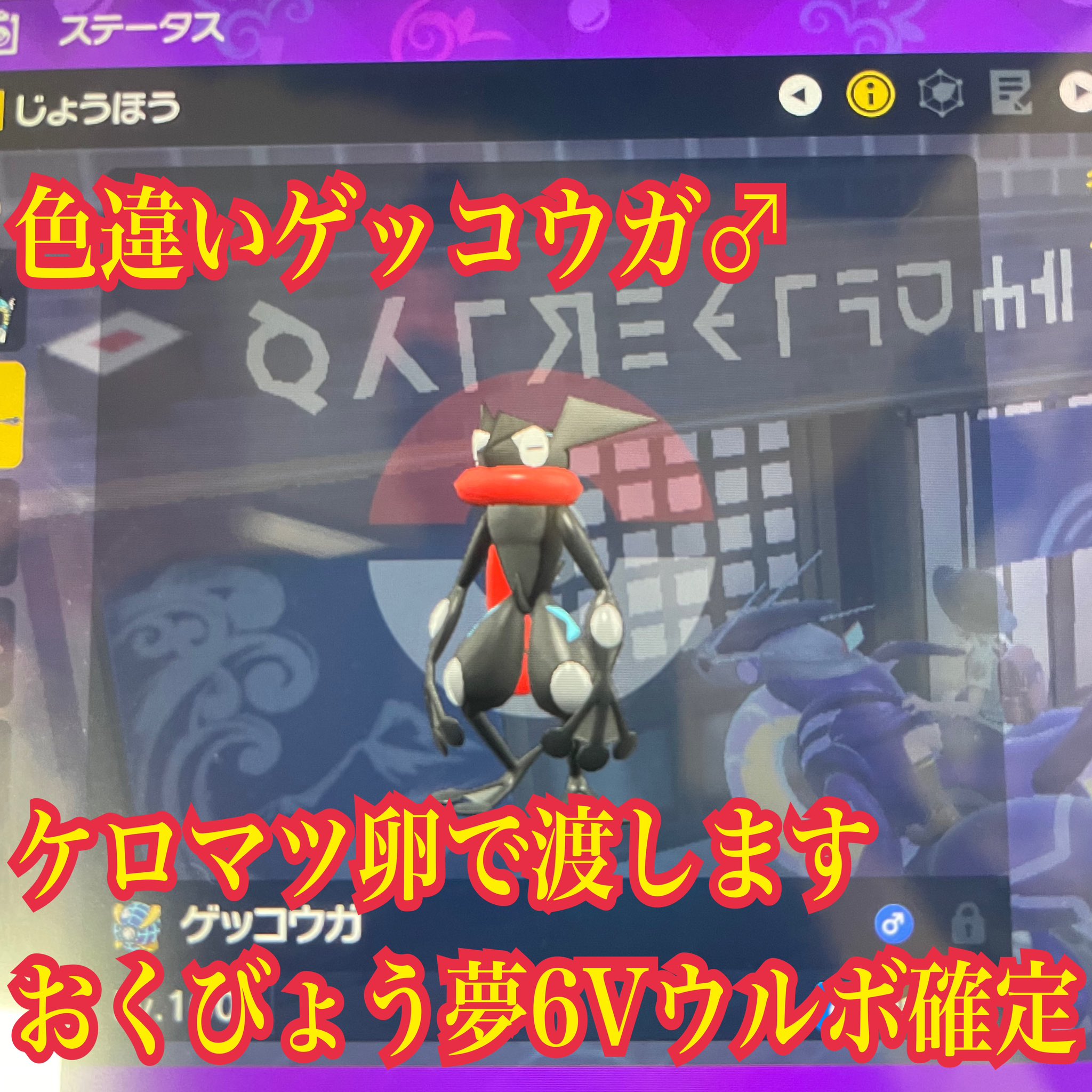 問合 注文はline平日時 22時 ポケモンsv販売屋 注文 問い合わせはライン Line 色ケロマツ卵 500pay 色違いケロマツ ゲッコウガ 出 色ヒバニー 色リザードン 色ブラッキー コライドン ミライドン 色メタモン 色ニンフィア 色マリルリ 色キノガッサ 色 問合 注文はline平日時 22時 ポケモンsv販売屋 注文 問い合わせはライン Line 色ケロマツ卵 500pay 色違いケロマツ ゲッコウガ 出 色ヒバニー 色リザードン 色ブラッキー コライドン ミライドン 色メタモン 色ニンフィア 色マリルリ 色キノガッサ 色