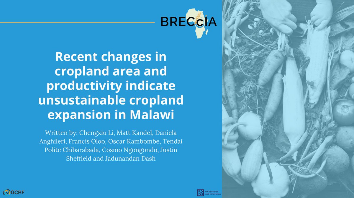 test Twitter Media - Cropland crisis!  A new #BRECcIA study reveals rapid expansion and reduced productivity leading to unsustainable cropland use. Only 5% of total land left as potential for future expansion. Time to take action for sustainable food security.
Read it here: https://t.co/llsrJVDsZQ https://t.co/VNCpJQtz0E