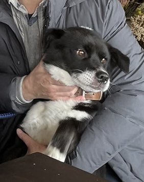 画像送ってくれた!!
可愛い😍😍😍😍😘 