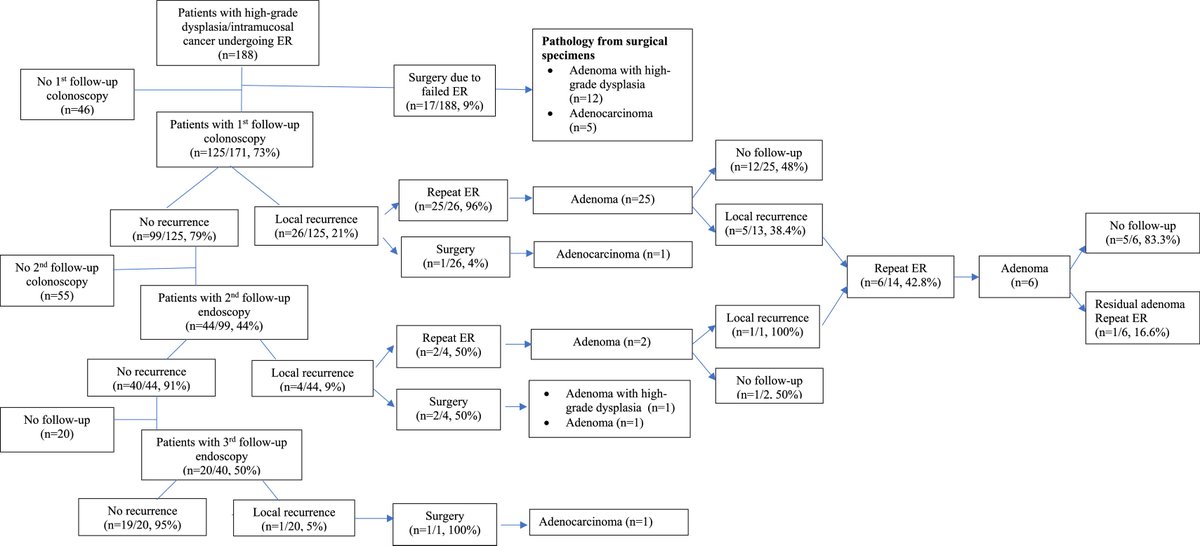 AGA_TIGE's tweet image. Outcomes of #EndoscopicResection for #ColorectalPolyps with High Grade #Dysplasia or #IntramucosalCancer ow.ly/4Vu250My4qR @VinayChandraMD @EHolzwanger @AbiMansourMD @Sonmoon20