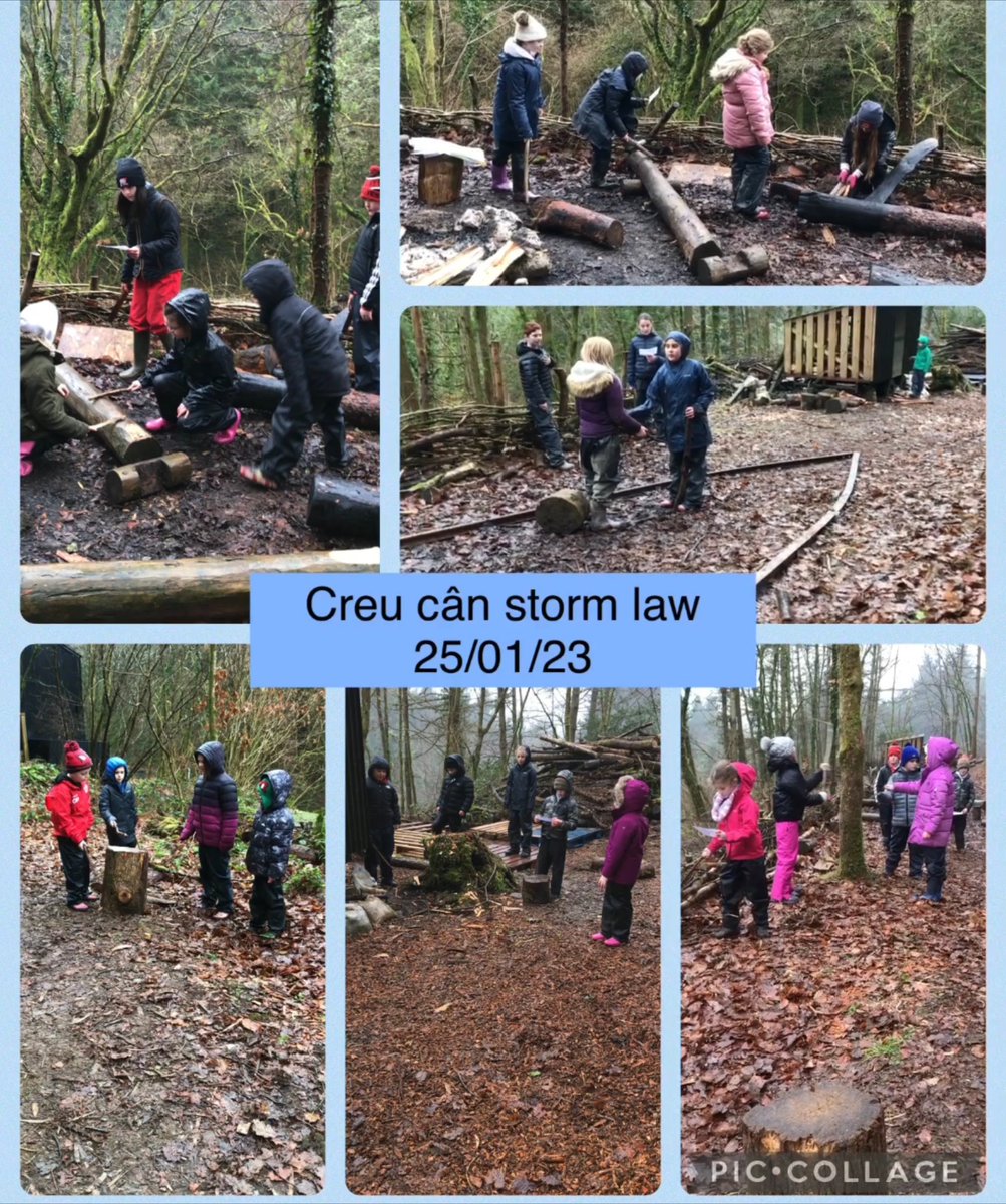 Ysgol Cae'r Felin tweet media