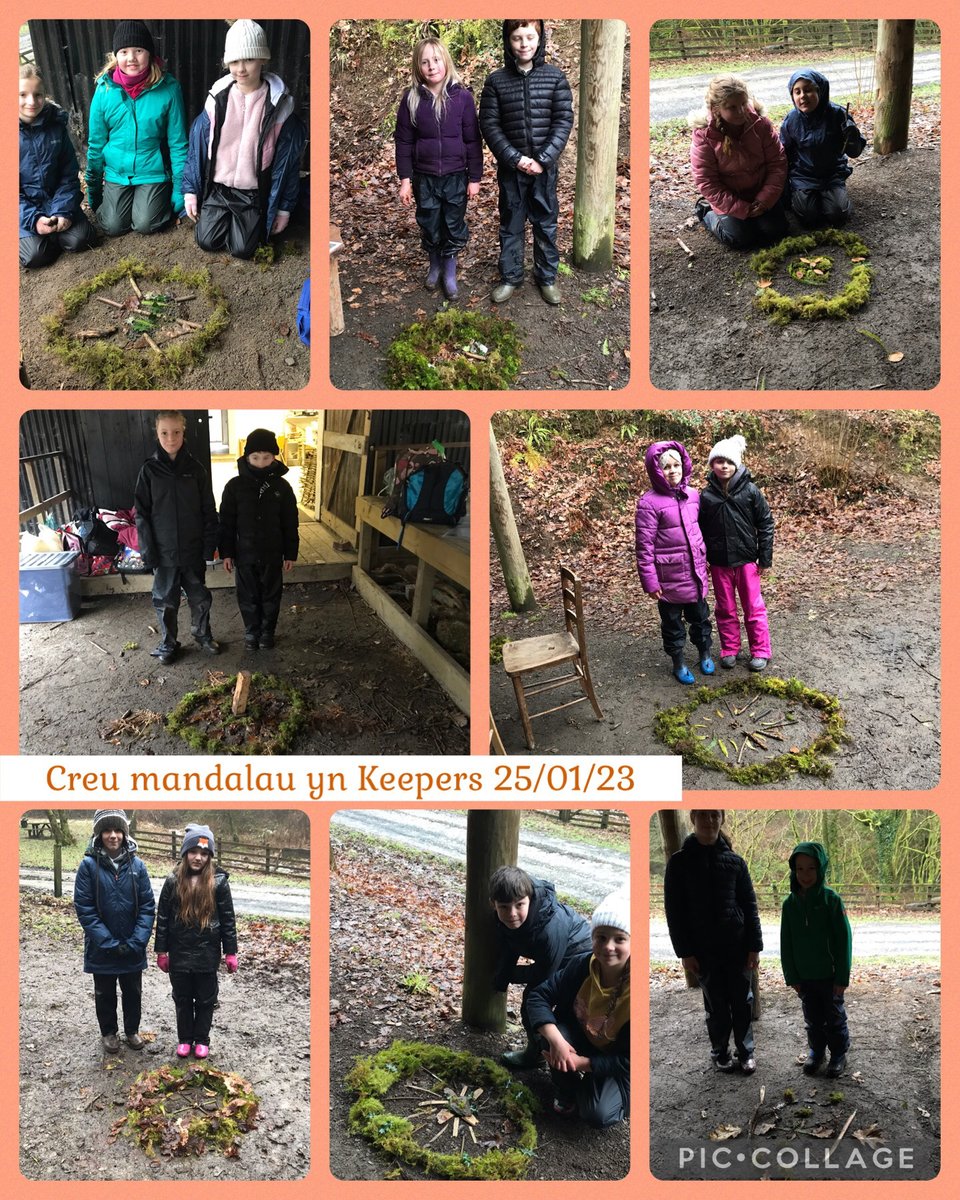 Ysgol Cae'r Felin tweet media