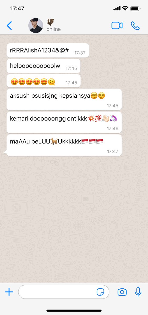 —
kelelawar ; raja malam
lee jeno au.