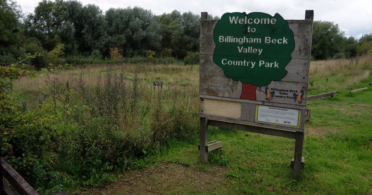 £1m project to boost wildlife in restoration project for Teesside country park bntmedia.uk/ShX0w6