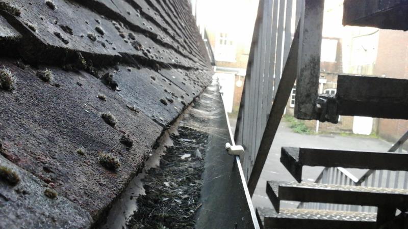 NSSGroupLtd's tweet photo. How are your building's gutters holding up? During winter storms they can get backed up and cause water damage and roof leaks. Call us today for a check. #Gutters #Winter #BuildingMaintenance https://t.co/sKH1L8ts9z