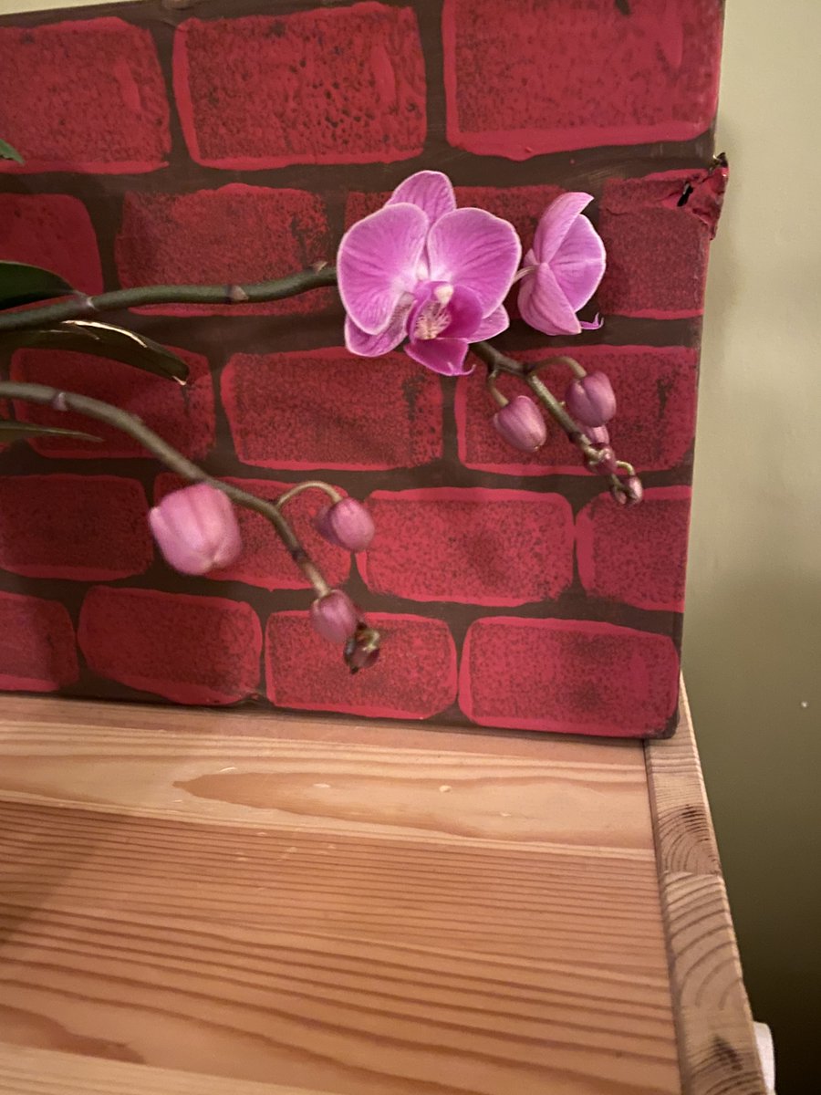 Amy R Neufeld tweet media