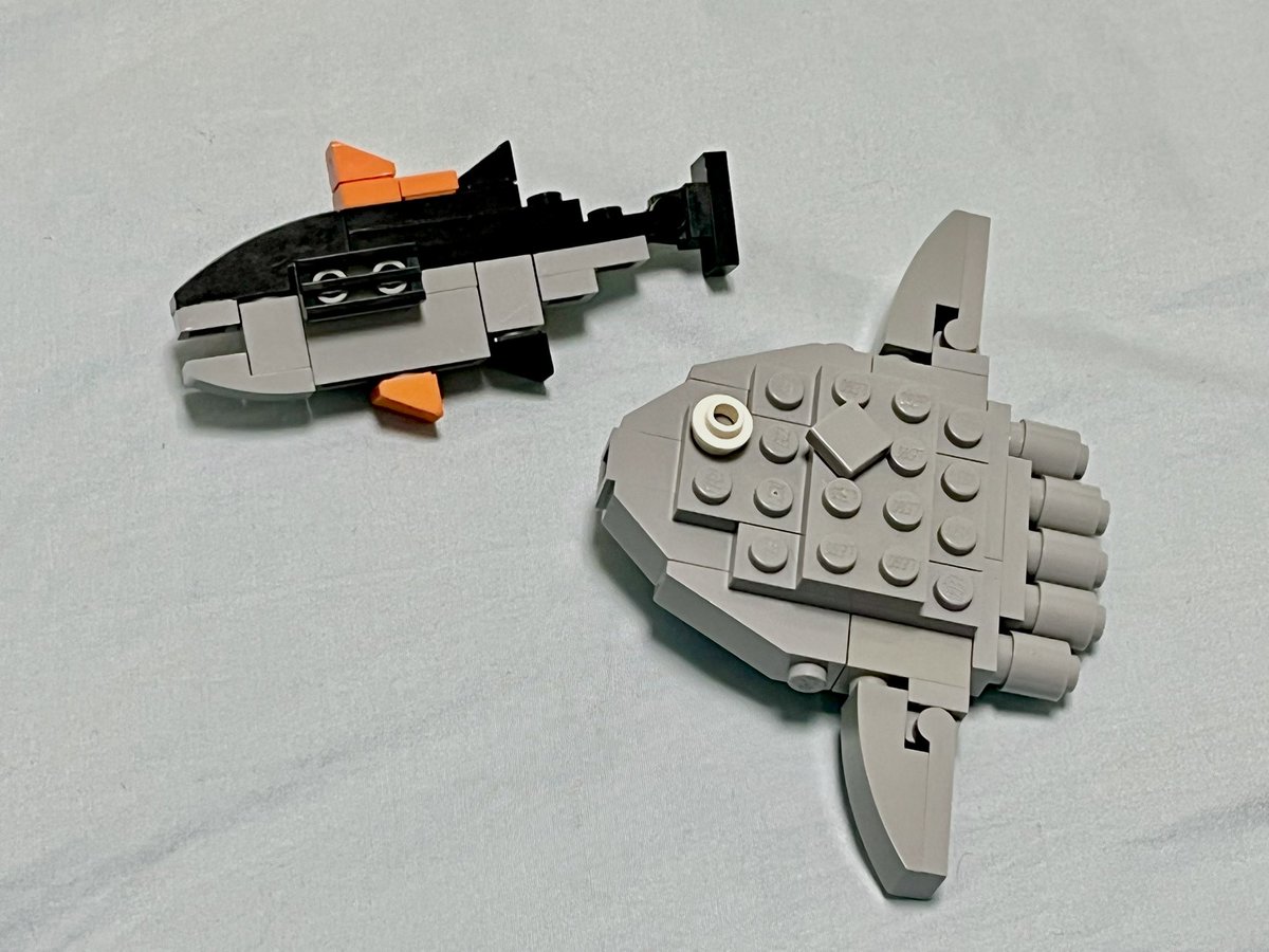 目が死んでるマンボウとマグロ