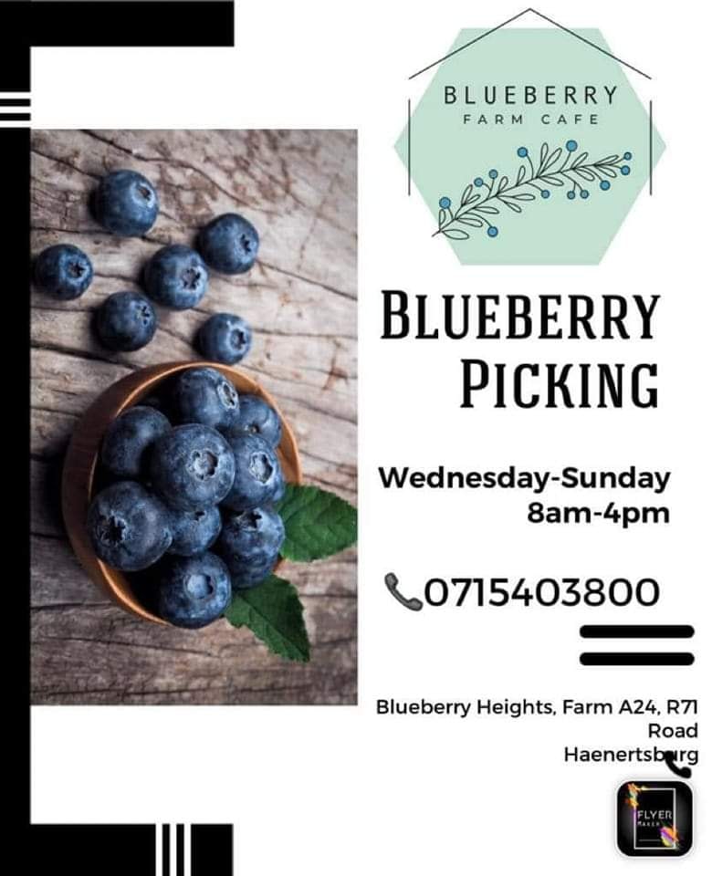 🚨 E V E N T _ A L E R T

Don't miss out, event is till Sunday.

Take your family out and enjoy yourselves.

Support L O C A L_ E V E N T S