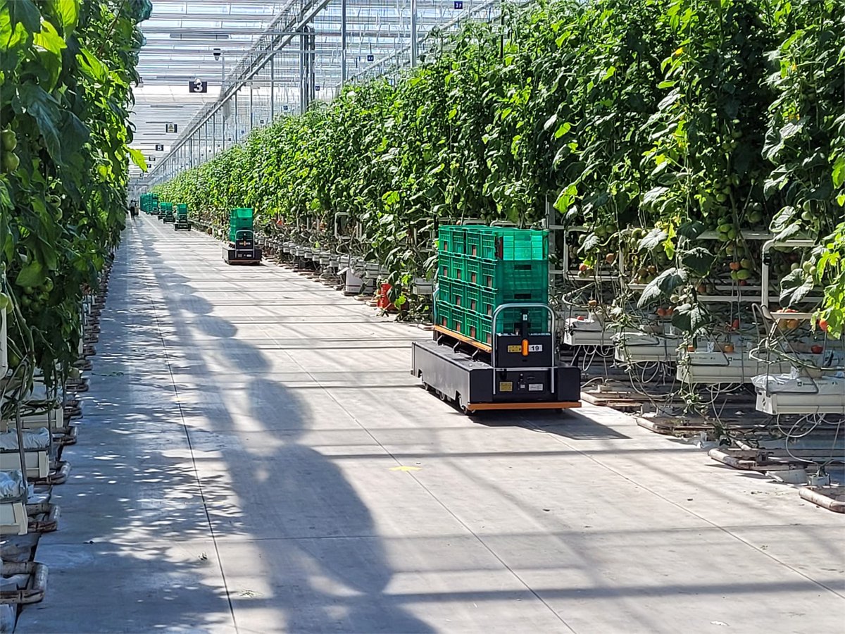 Saving on labor, improving the quality of the harvested product and increasing the continuity and speed of the logistic process in your greenhouse and processing area. Doesn’t sound bad 😊. Does it?

Interested? Please contact one of our dealers or visit: berghortimotive.com/en/harvest-a-t…