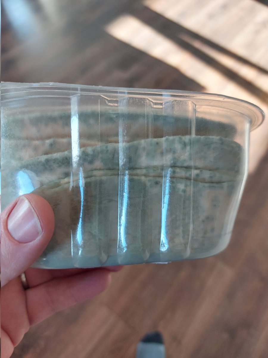 b_carrick's tweet photo. @oldelpasouk Guys can you please have someone contact me. I went to cook the kids dinner last night to be greated by this ! #GoneOff #Mould https://t.co/thfKANO42I