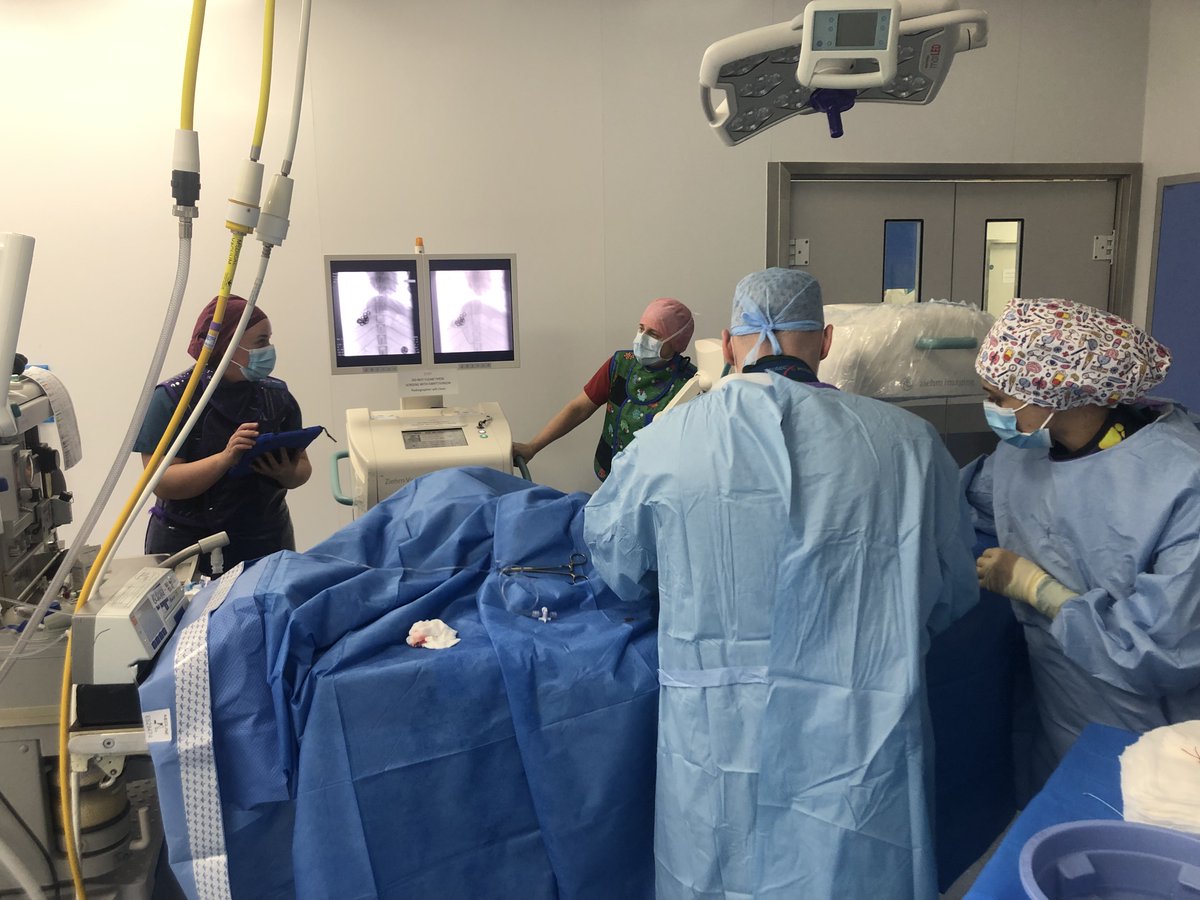 AURA Veterinary tweet media