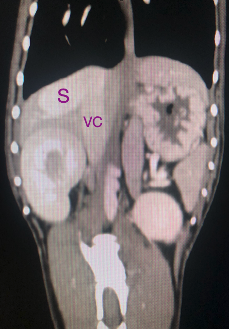 AURA Veterinary tweet media