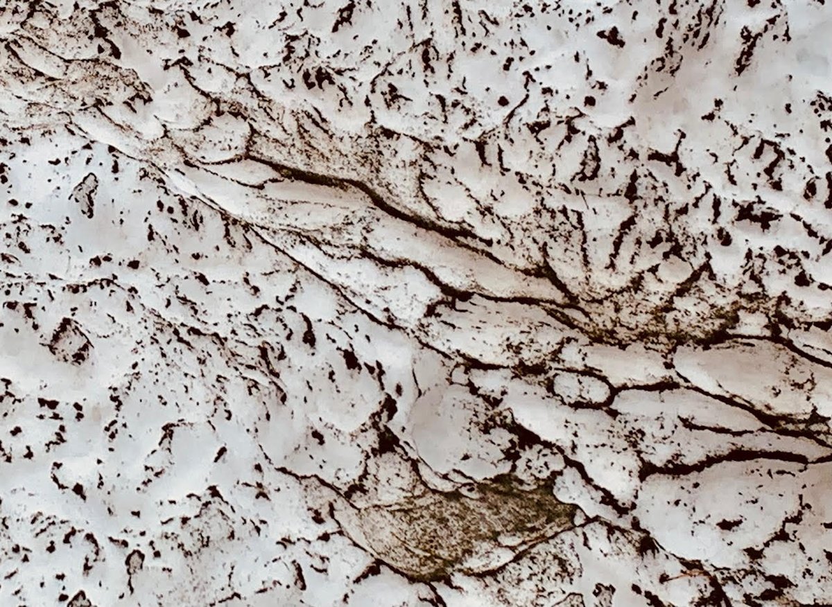RES_Guidance's tweet photo. "And there's a zebra!" a student said on the lot @RoncalliSchool this morning. I was confused. She pointed at what I thought was a dirty snowbank. I looked closer, and realized that kids often see so much more than we do. #Imagination #LearnFromKids @NLESDCA @RoncalliReads #zebra https://t.co/prAtzwR378