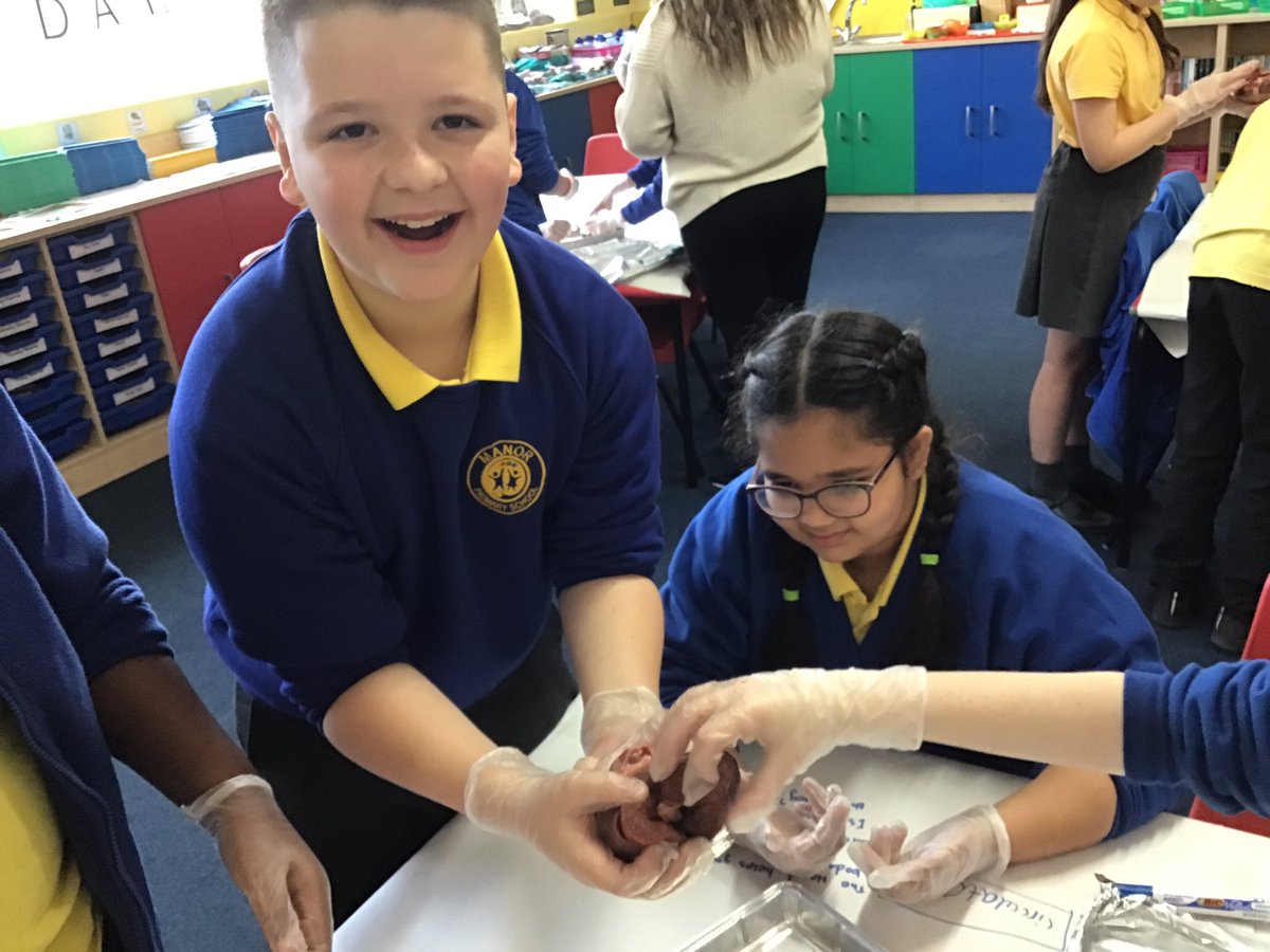 ManorPrimarySch's tweet photo. When awe and wonder in Year 6 Science lessons about the circulatory system create outstanding outcomes! #outstanding #makinglearningreal #welovescience #exceptionality https://t.co/uoX52UpFWZ