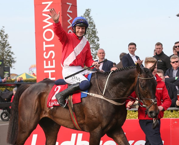 punchestownrace's tweet photo. ⭐👉You want good race day value? 👈⭐

How does a trip to Punchestown Festival for under £250 sound? 
✈️Plenty of @Ryanair flights for under £40 rt.
🏇Race day tickets from £26
👜Hotels from £140pp on https://t.co/PRxxzzvtZ3

You want value? You Got It! 
https://t.co/1HPPlYYJuY https://t.co/JNNDXkn5BM