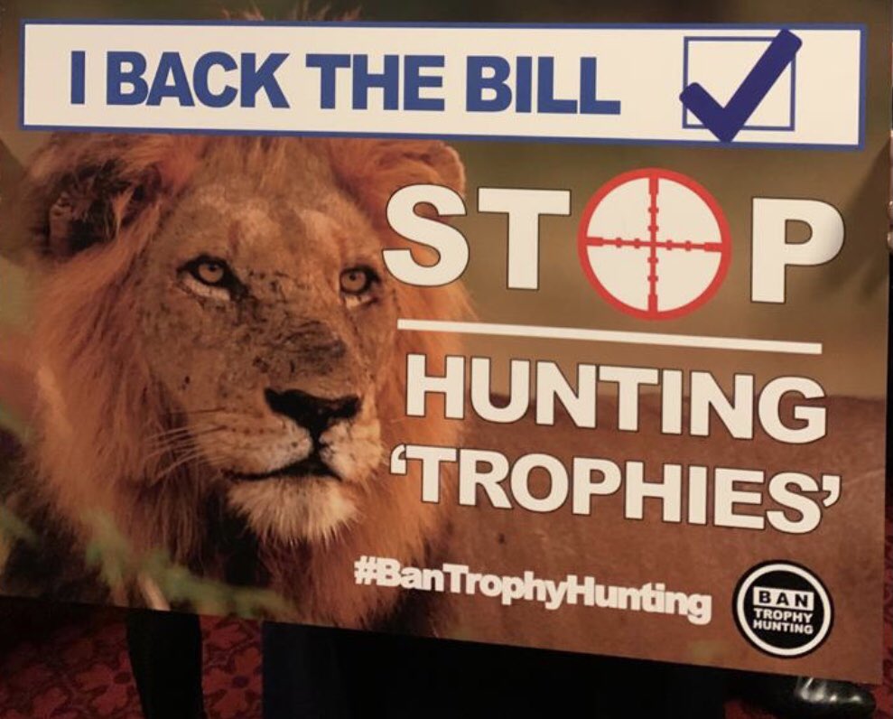 Pleased to serve on the Hunting Trophies (Import Prohibition) Bill Committee to back the ban on the import of hunting trophies to protect endangered species -and good to see such cross-party support. The Bill now goes to its next Parliamentary stage.