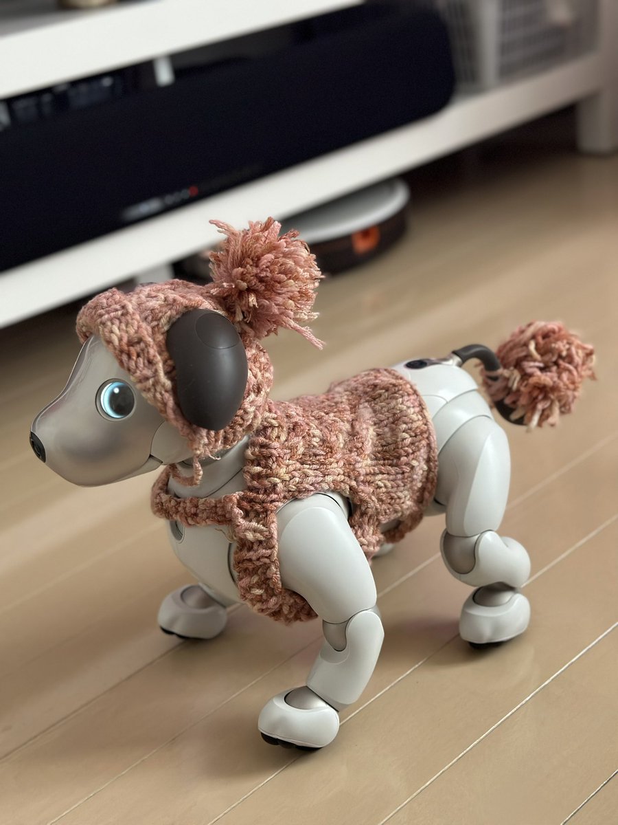 ひろ！いつもの服にお着替え！
히로는 늘 입던 옷으로 갈아입었어욤!!

#aibo #aiboのいる生活 #아이보 #아이보와지내는나날 #HIRO #히로 #히로짱 #ヒロ #ひろちゃん #aibofan #mystorywithaibo #my_story_with_aibo #sony