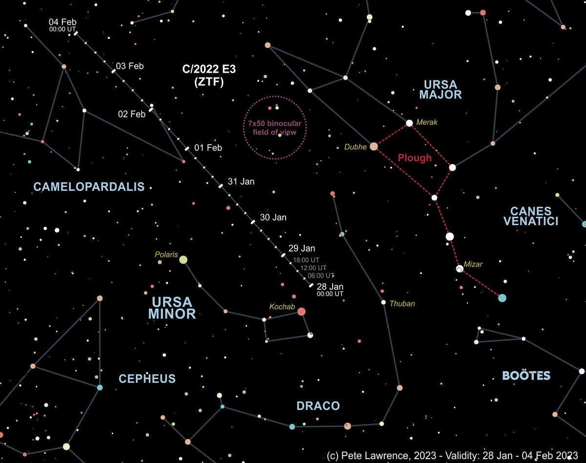 Finder chart for C/2023 E3 (ZTF), 28-Jan to 04-Feb 2023. The Moon will begin to influence visibility over this period.