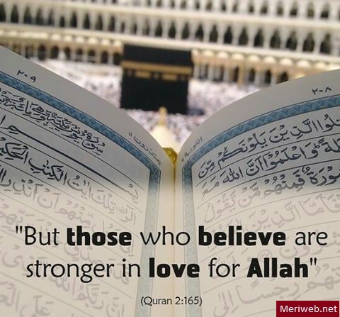 moeezsultann's tweet photo. Quran Majeed is the last holy book living in our hearts, Don't play with the feelings of Muslims. Why  West is so afraid with the last holy book, the Holy Quran? 
Why are the government and political parties of Pakistan,silent on the desecration of the Quran?
#حرمت_قرآن #Quran https://t.co/HyJYvezzpE