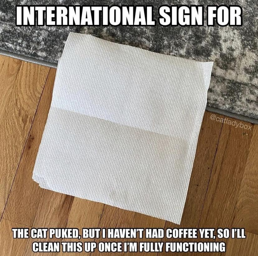 ccannonauthor's tweet photo. Really funny if you’ve ever owned a cat. #Cat #Caturday #CatsLover #funny #lol #notbeforecoffee #goodmorning #Friday https://t.co/h5duvnXngR