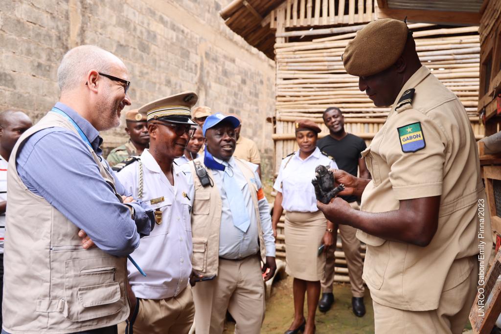 bussiere_brice's tweet photo. Thanks to @FAOAfriqueCent @undpgabon and @JointSDGFund support, the maison central of #Oyem 🇬🇦 not only facilitates social reinsertion of detainees and better nutrition and health within the prison : but also contributes to local food resilience.
@OnuGabon
#zerofaim https://t.co/hziGbg4fu3