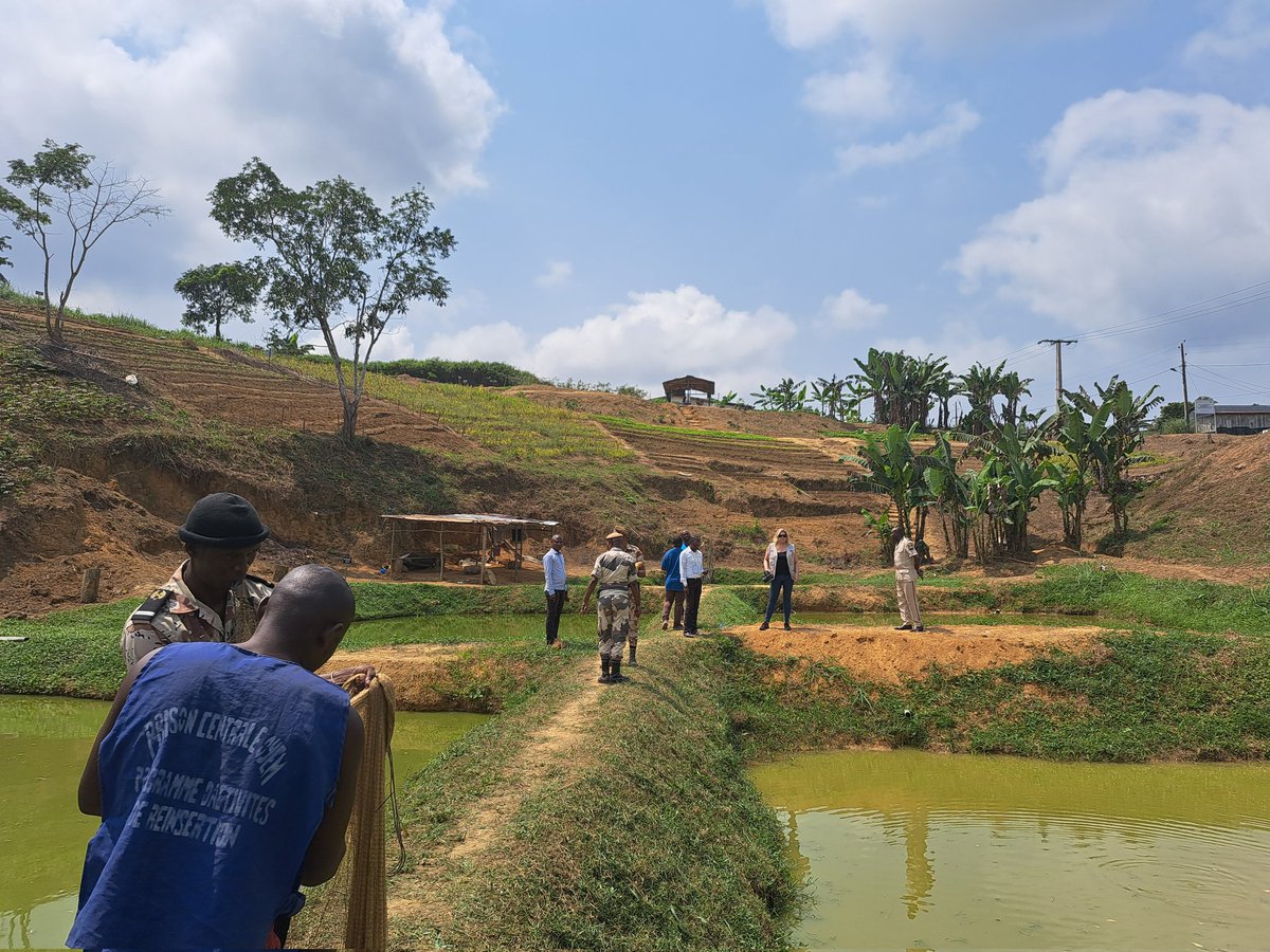 bussiere_brice's tweet photo. Thanks to @FAOAfriqueCent @undpgabon and @JointSDGFund support, the maison central of #Oyem 🇬🇦 not only facilitates social reinsertion of detainees and better nutrition and health within the prison : but also contributes to local food resilience.
@OnuGabon
#zerofaim https://t.co/hziGbg4fu3