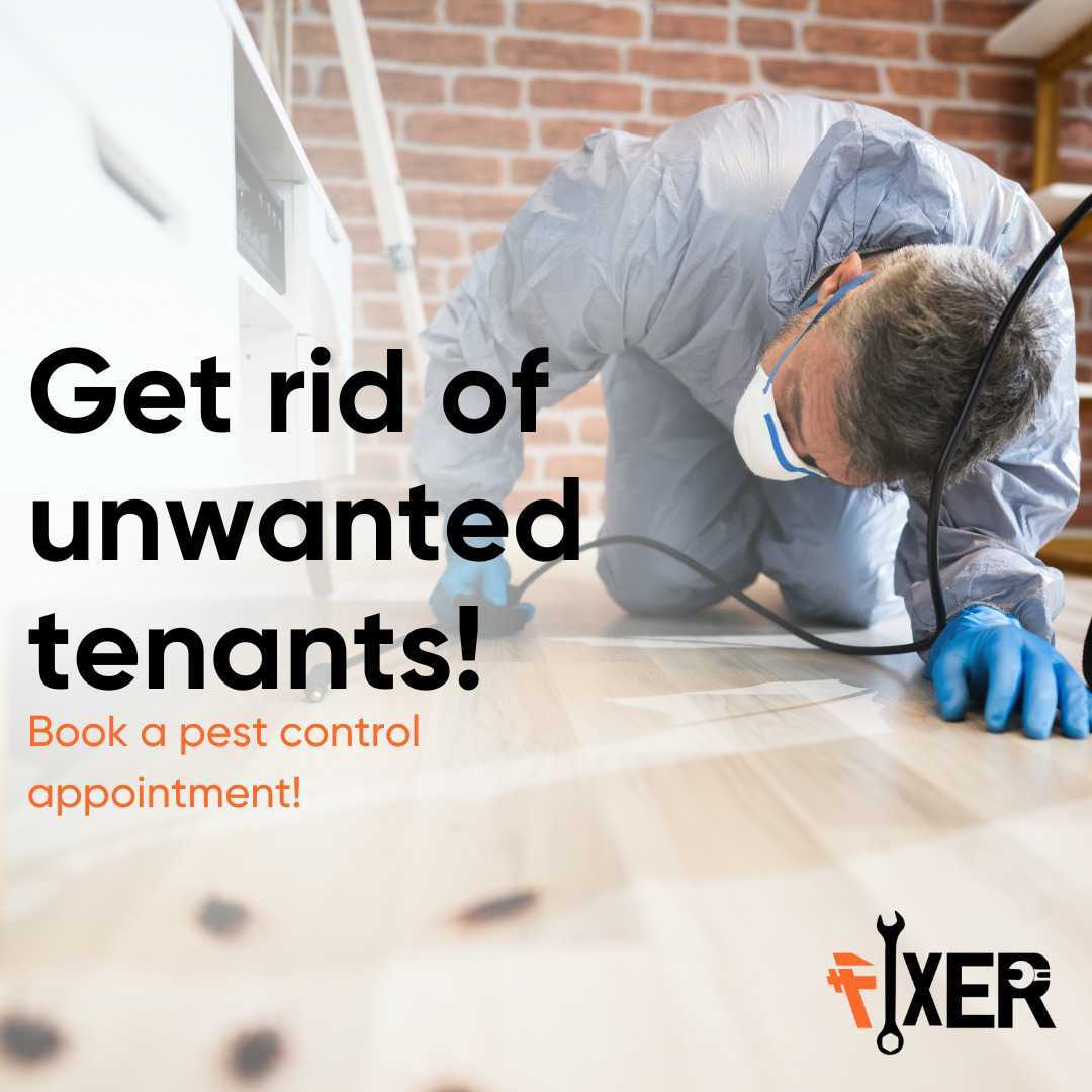 fixers_ae's tweet photo. Now, you don’t need to look in the nooks of your home or the internet to find reliable Pest Control Services, for Fixer is right here!
#wegotafix #fixer #fixers #fixit #pestcontrol #pestcontrolservice #pestcontrolservices #pestmanagement #rodentcontrol #mosquitocontrol #pest https://t.co/2nENClkJ3D