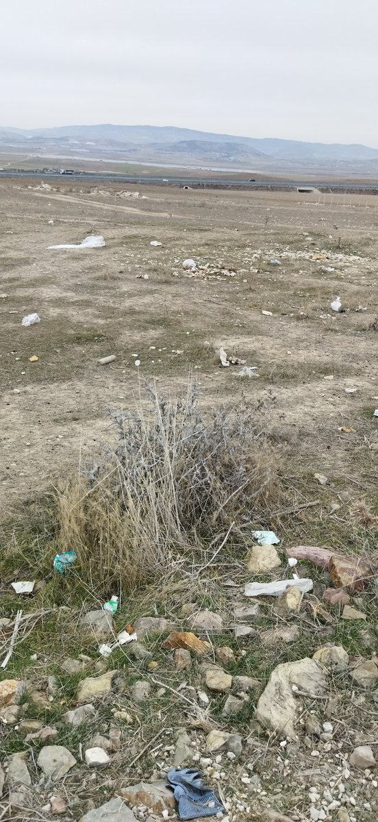 Ankara Gölbaşı küme evlerinden görüntüler.Çöpler aylardır duruyor.Bahçenin birini çöp atmak için kullanıyorlar.Plastikler her yeri sarmış!Gelip çöpleri alan bir kamyon bile yok ve kimse sesini bile çıkartmıyor... #DoğamızıKirletme #Çevrekirliliği #Kirlidoğa @ankarabbld