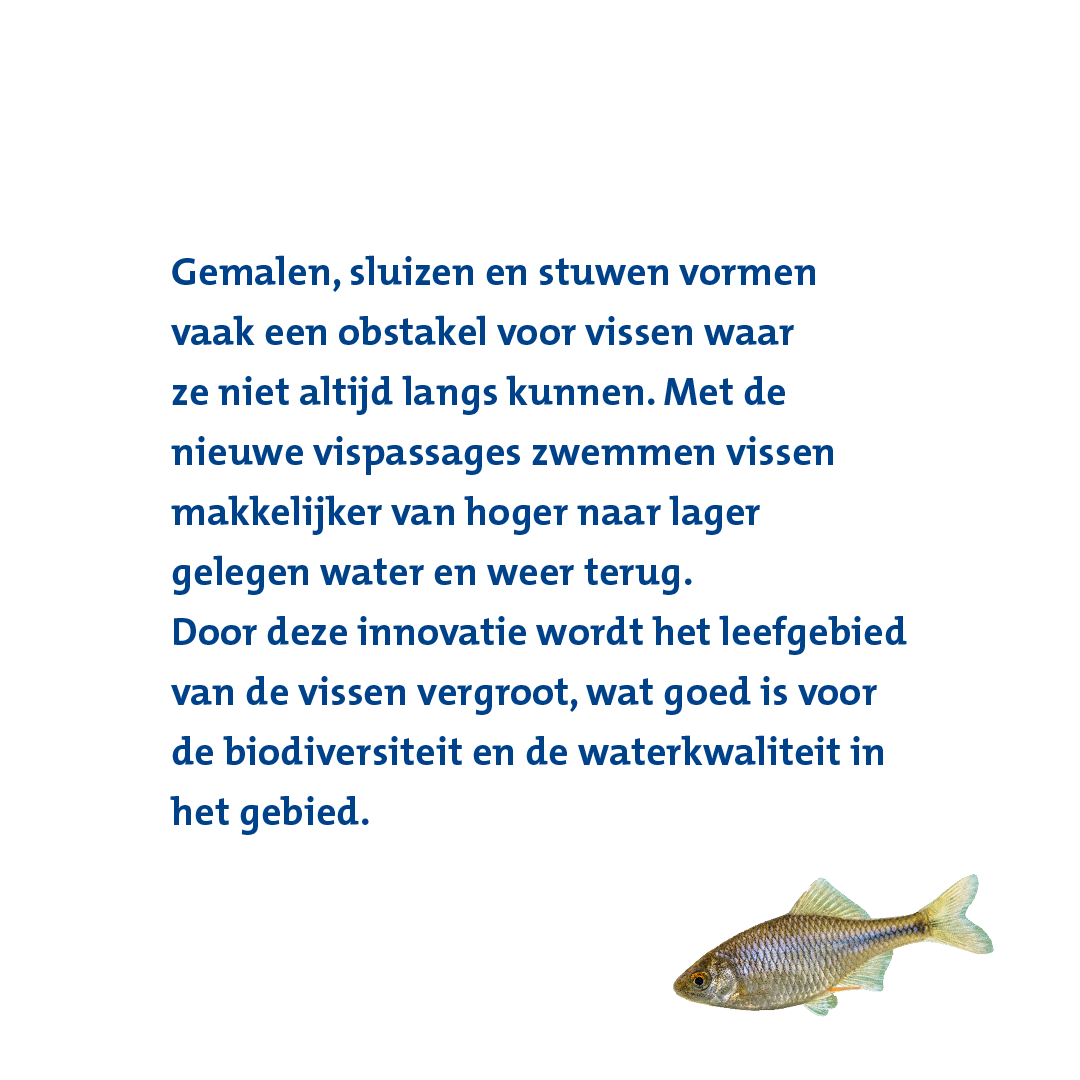 HH Delfland tweet media