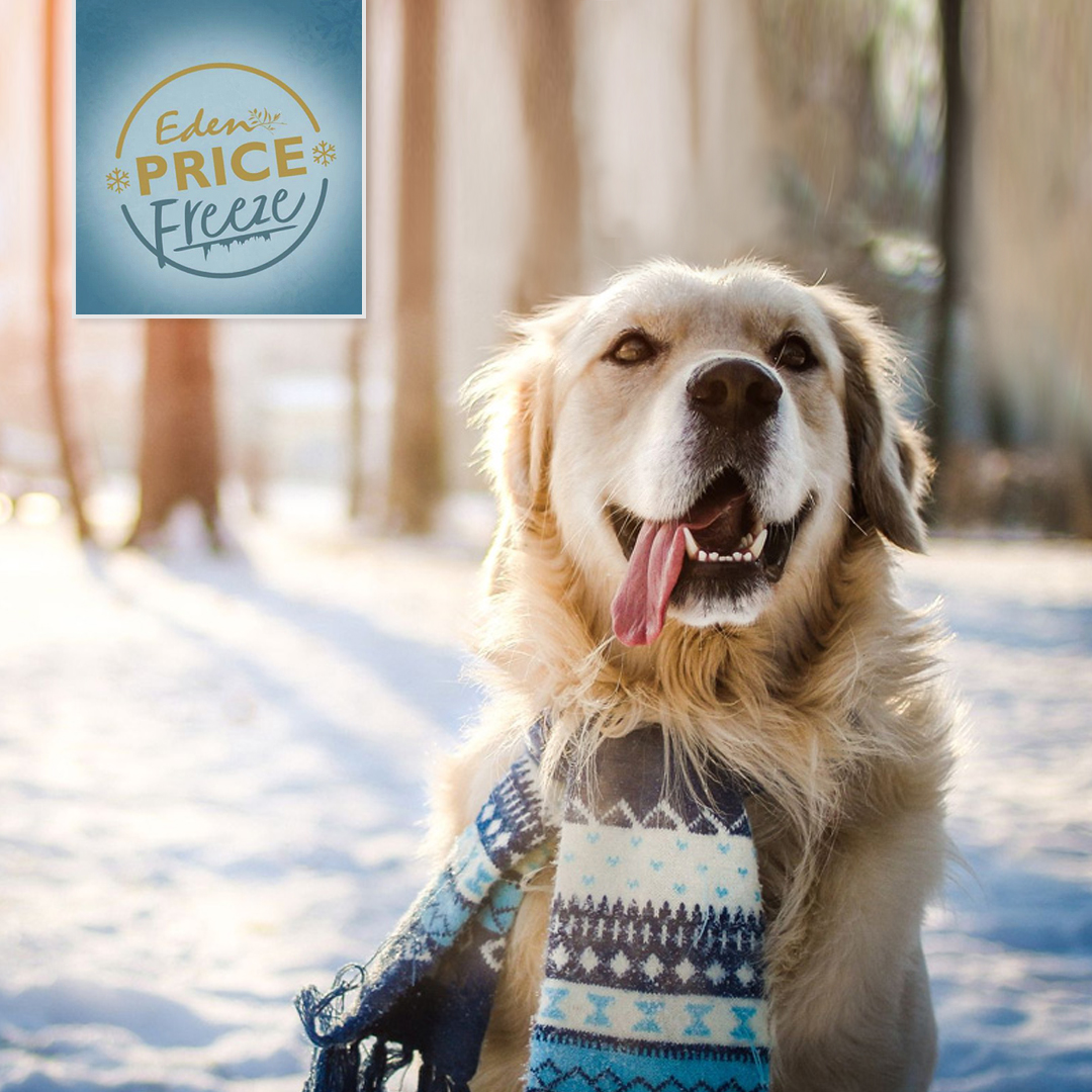 Last Chance to take advantage of Eden's Price Freeze

Don't miss out on getting your Eden pet food at the lowest possible price!

jurassicbark-online.co.uk/collections/ed…