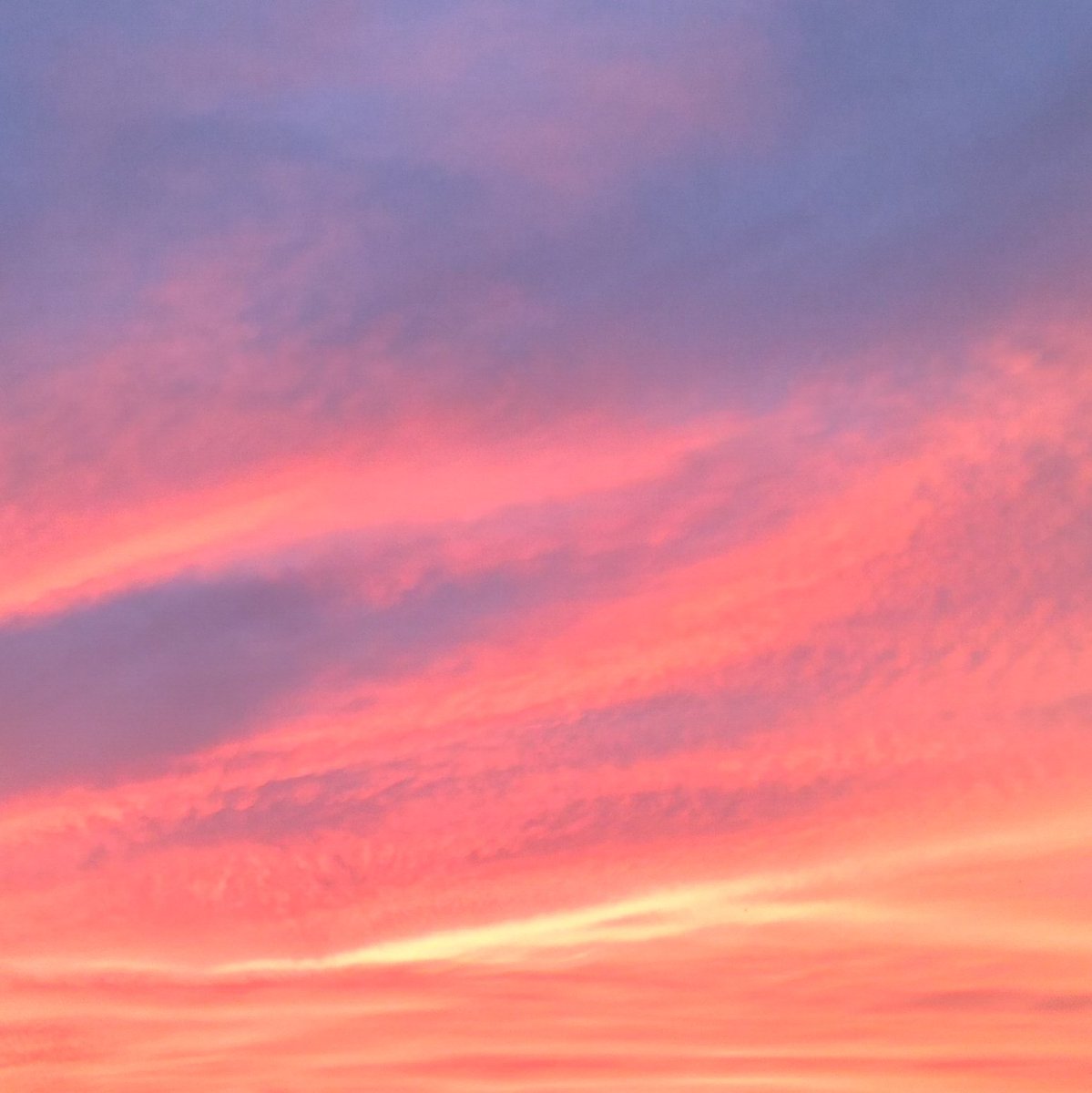butterbbread's tweet photo. i told sunset about you https://t.co/F5a0CP7ox8