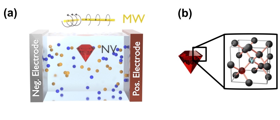 In our recent preprint arxiv.org/abs/2301.04427, we propose to use NV-centers as sensors to measure both the electric field distribution and the local ionic concentration inside electrolytes, with applications for measuring battery degradation.