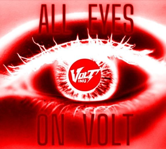 Volt Inu ⚡️ tweet media