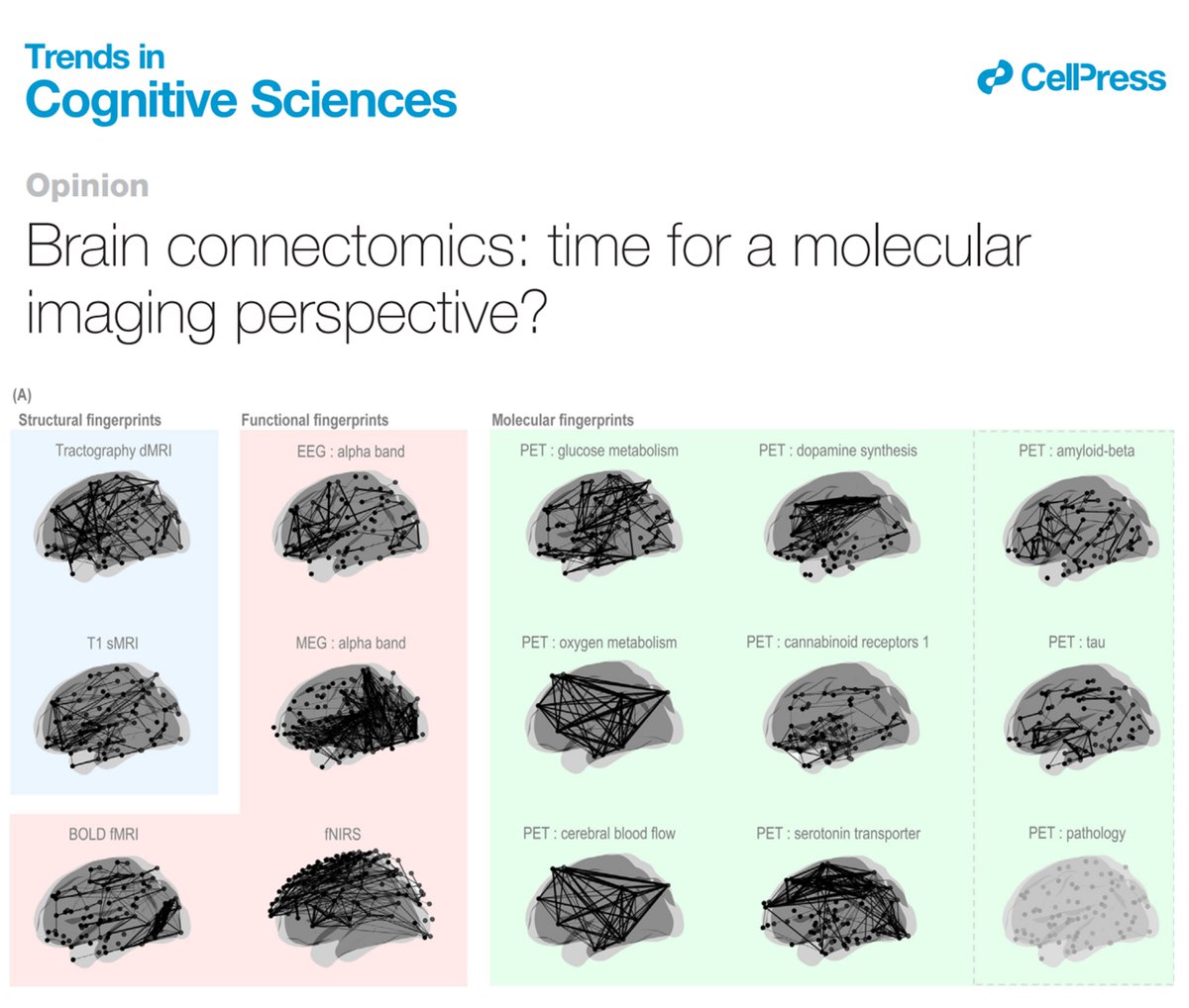 PET Connectivity (@connectivitypet) on Twitter photo Brain connectomics: time for a molecular imaging perspective? | tinyurl.com/MCWGTrends
The 1st paper of the Molecular Connectivity Working Group is out now in <a href="/TrendsCognSci/">Trends in Cognitive Sciences</a>!
We discuss the use of molecular imaging to advance brain connectomics, in an integrative perspective Brain connectomics: time for a molecular imaging perspective? | tinyurl.com/MCWGTrends
The 1st paper of the Molecular Connectivity Working Group is out now in <a href="/TrendsCognSci/">Trends in Cognitive Sciences</a>!
We discuss the use of molecular imaging to advance brain connectomics, in an integrative perspective