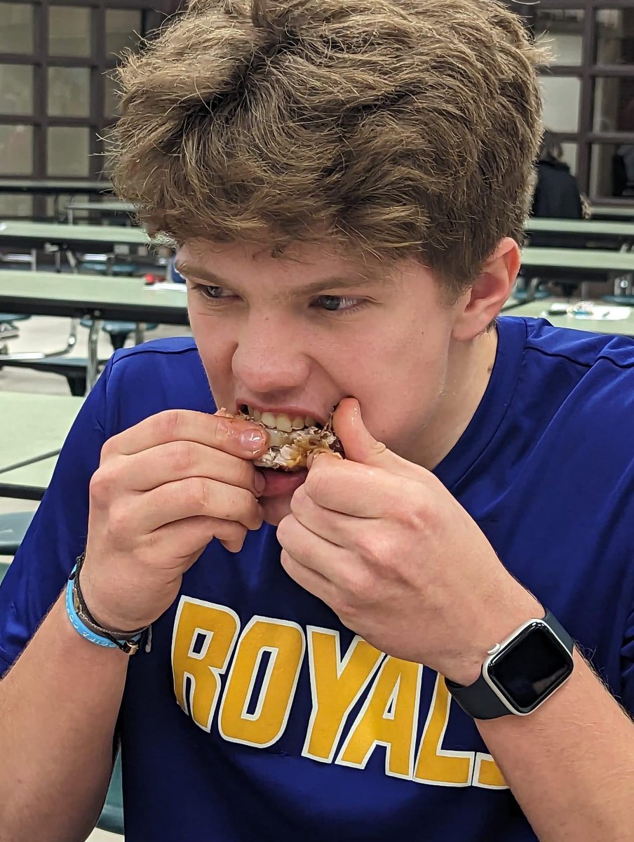 BCHS Baseball tweet media