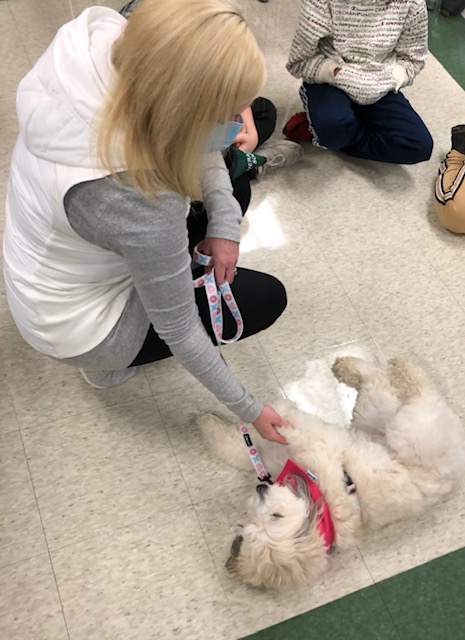 MrsBurndrettRSS's tweet photo. Last week we had a very special guest come to our classroom @RussellStSchool !  Thank you so much to Ms. Feudo @MsFeudo for bringing Sookie.  She brought so much joy in the morning and set the kids up for a positive day of learning! https://t.co/TI8klsrVvn