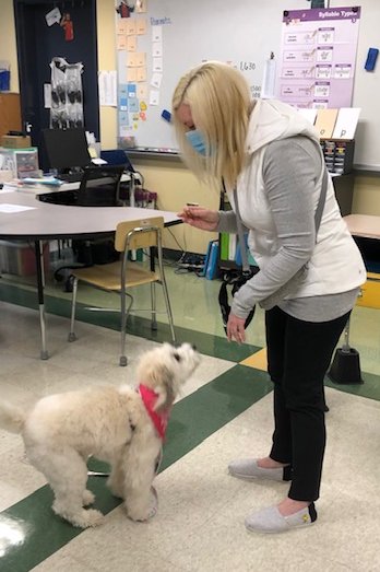 MrsBurndrettRSS's tweet photo. Last week we had a very special guest come to our classroom @RussellStSchool !  Thank you so much to Ms. Feudo @MsFeudo for bringing Sookie.  She brought so much joy in the morning and set the kids up for a positive day of learning! https://t.co/TI8klsrVvn